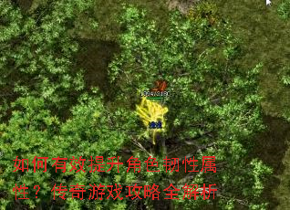 如何有效提升角色韧性属性?传奇游戏攻略全解析 如何有效提升角色韧性属性?传奇游戏攻略全解析