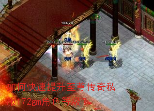 如何快速提升至尊传奇私服172gm角色等级? 如何快速提升至尊传奇私服172gm角色等级?