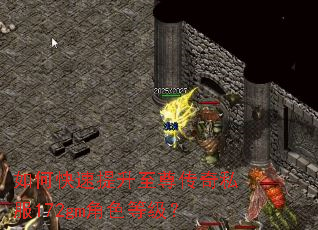 如何快速提升至尊传奇私服172gm角色等级? 如何快速提升至尊传奇私服172gm角色等级?