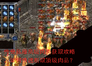 传奇私服高级肉类获取攻略,如何快速刷取顶级肉品? 传奇私服高级肉类获取攻略,如何快速刷取顶级肉品?