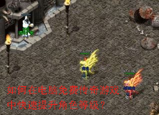 ����ڵ�����Ѵ�����Ϸ�п���������ɫ�ȼ���