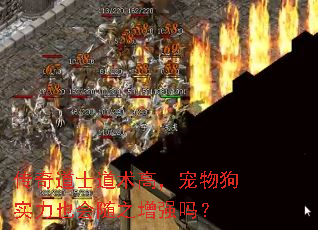 �����ʿ�����ߣ����ﹷʵ��Ҳ����֮��ǿ��