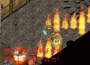 格斗传奇私服新手如何快速上手并提升战力? 格斗传奇私服新手如何快速上手并提升战力?