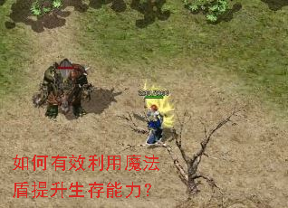 如何有效利用魔法盾提升生存能力? 如何有效利用魔法盾提升生存能力?