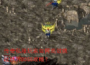 传奇私服玩家如何高效挑战世界BOSS攻略? 传奇私服玩家如何高效挑战世界BOSS攻略?