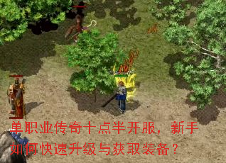 单职业传奇十点半开服,新手如何快速升级与获取装备? 单职业传奇十点半开服,新手如何快速升级与获取装备?