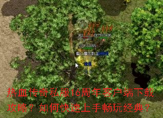 热血传奇私服16周年客户端下载攻略?如何快速上手畅玩经典? 热血传奇私服16周年客户端下载攻略?如何快速上手畅玩经典?