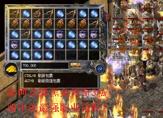 如何选择黑金传奇3私服中的最强职业搭配? 如何选择黑金传奇3私服中的最强职业搭配?