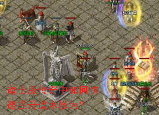 道士服传奇中如何快速提升道术修为? 道士服传奇中如何快速提升道术修为?