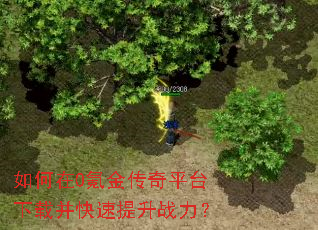 如何在0氪金传奇平台下载并快速提升战力? 如何在0氪金传奇平台下载并快速提升战力?