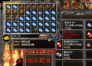 热血传奇SF中哪个职业最适合组队配合? 热血传奇SF中哪个职业最适合组队配合?