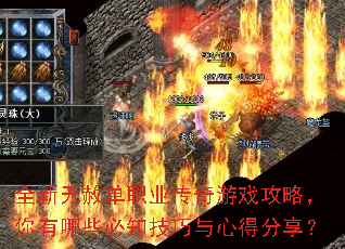 全新无赦单职业传奇游戏攻略,你有哪些必知技巧与心得分享? 全新无赦单职业传奇游戏攻略,你有哪些必知技巧与心得分享?