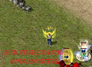 白日门宝箱获取全攻略,如何高效收集宝箱? 白日门宝箱获取全攻略,如何高效收集宝箱?