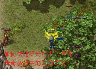 如何快速提升在人气竖屏传奇私服中的战力等级? 如何快速提升在人气竖屏传奇私服中的战力等级?
